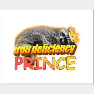 Iron Deficiency Prince Raccoon Meme Posters and Art